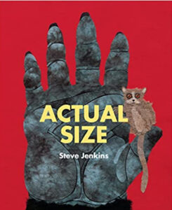 Actual Size Book Cover
